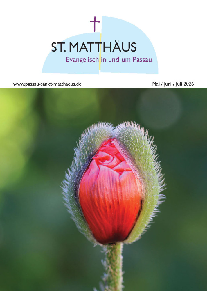 aufblühende Mohnblüte